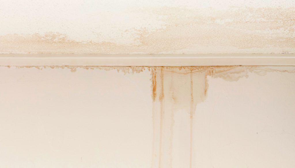 water dripping white ceiling
