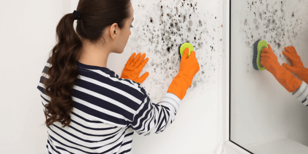 woman in rubber gloves working to remove black mold from window with brush in room