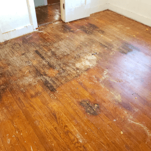 severely water-damaged wood floors