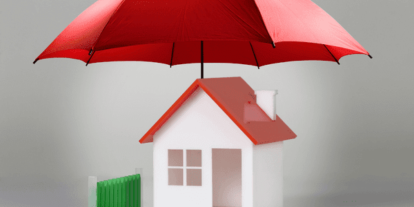 does home insurance cover mold