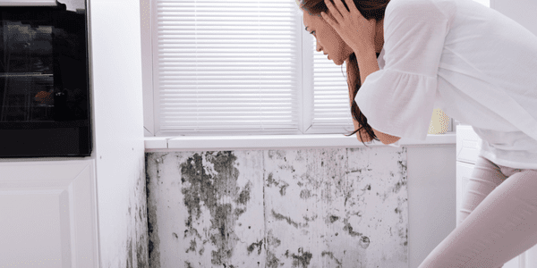 Mold in Your Kitchen