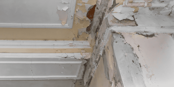 Humidity Damage
